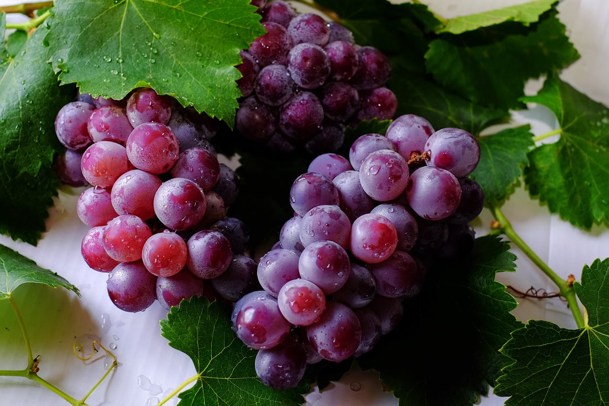 Grape Fruits